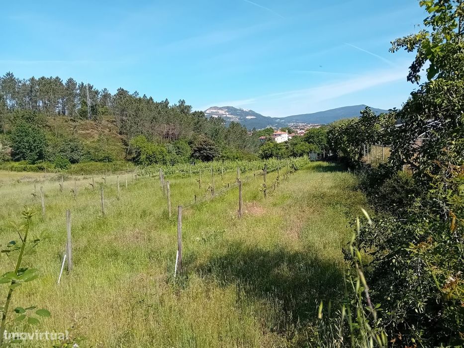 Terreno, Arca e Ponte de Lima