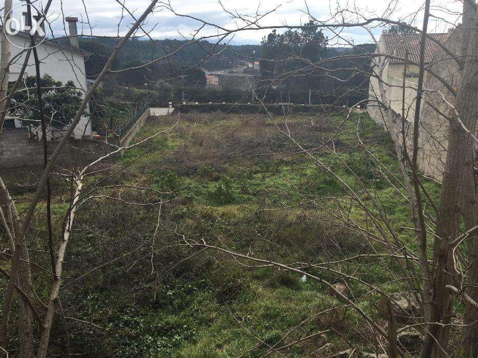 Lote para Construção em Mangualde