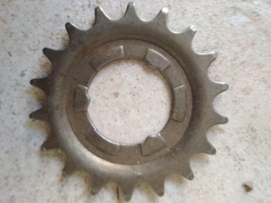 Зірка задня