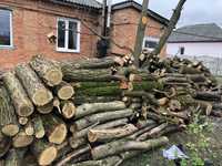 Продам дрова твердих порід з доставкою