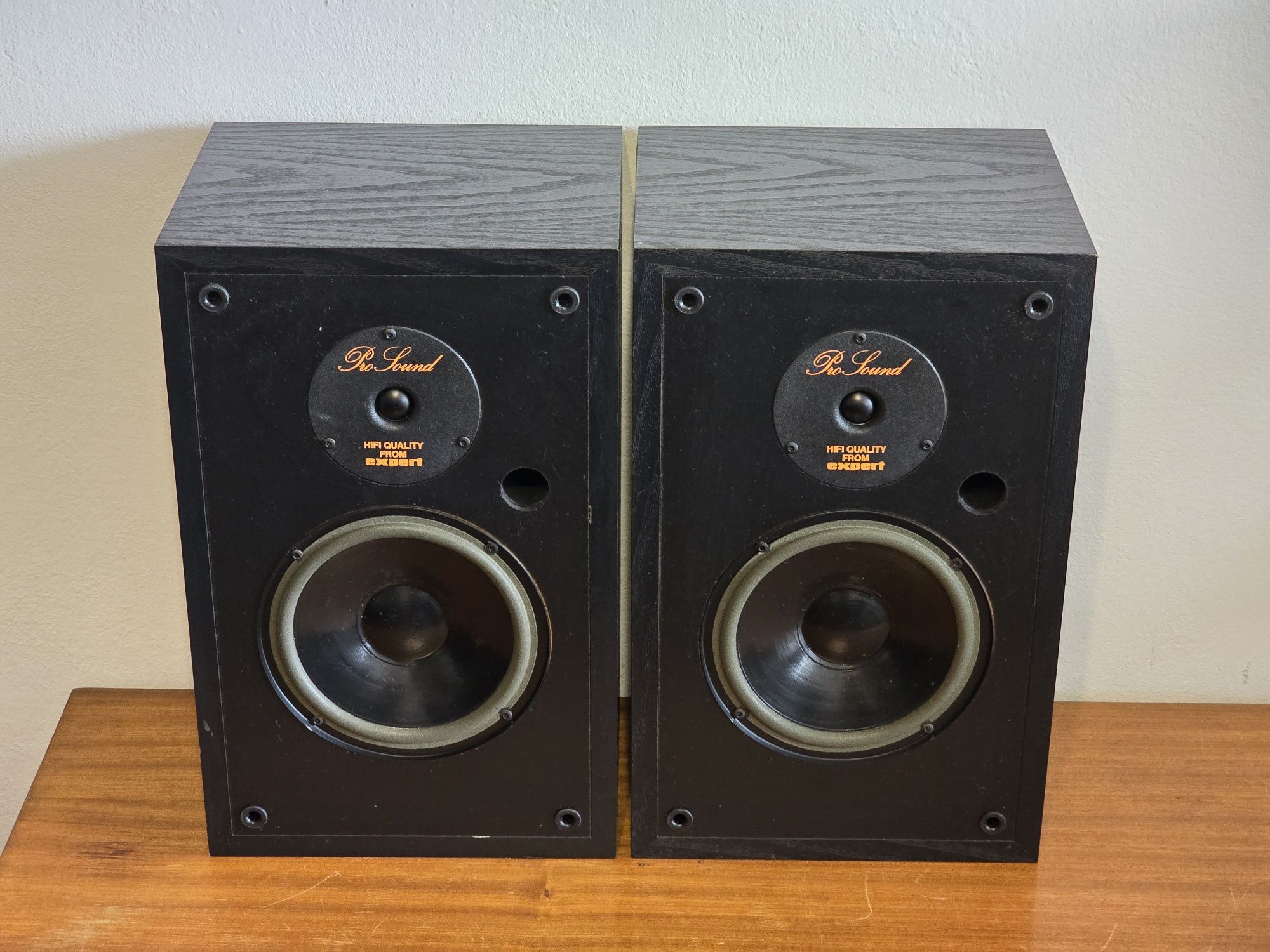 BNS PRO SOUND 1 kolumny Monitory VIFA d19 małe monitory