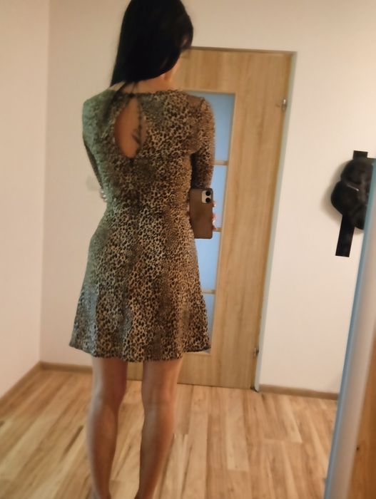 Sukienka, panterka, lekka i zwiewna