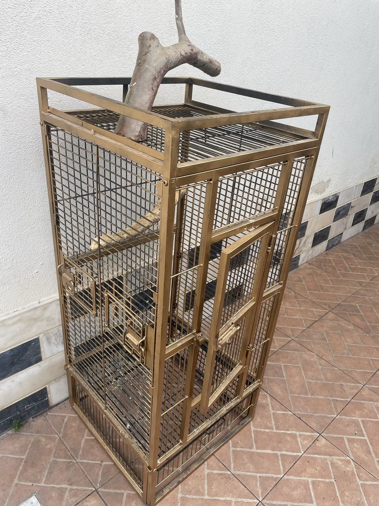 Gaiola de papagaio