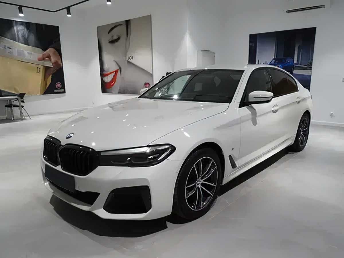 BMW Seria 5 520d xDrive mHEV