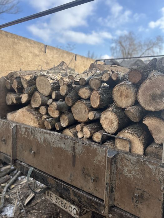 Дрова твердих порід | Метрові або колоті | Акація, берест, клен, ясень