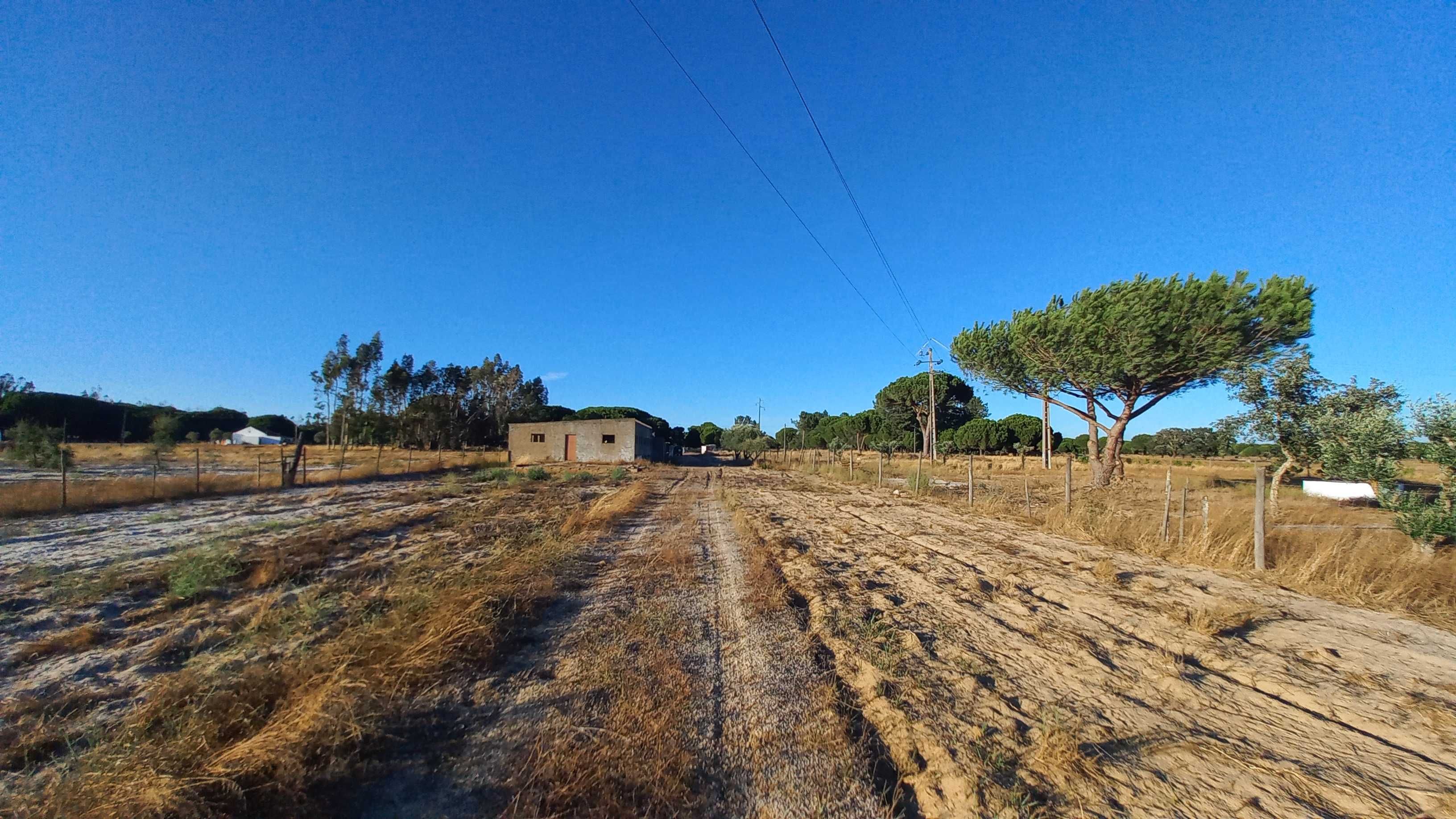 Terreno com habitação e arrecadações situado na Cilha Do Centeio