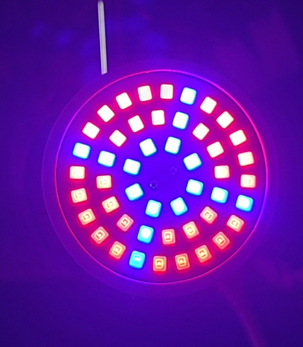 Żarówka Led do roślin E14 48SMD 3 szt