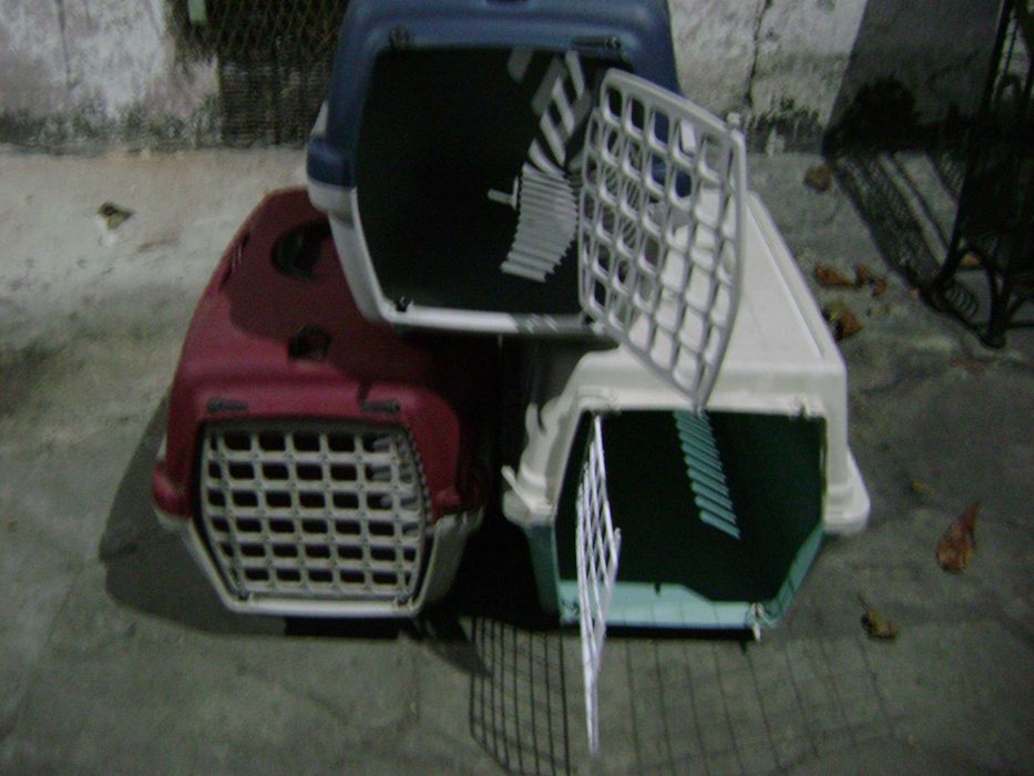 transporter dla zwierzaczków