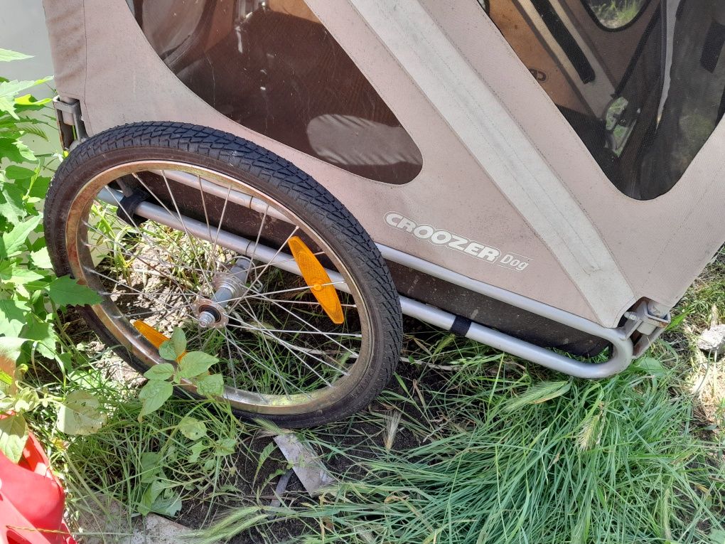 Przyczepka rowerowa dla psa Croozer Dog
