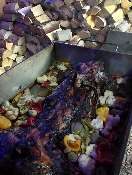 Chata Otulina dom w górach z wiatą biesiadną, balią, sauną, Radków