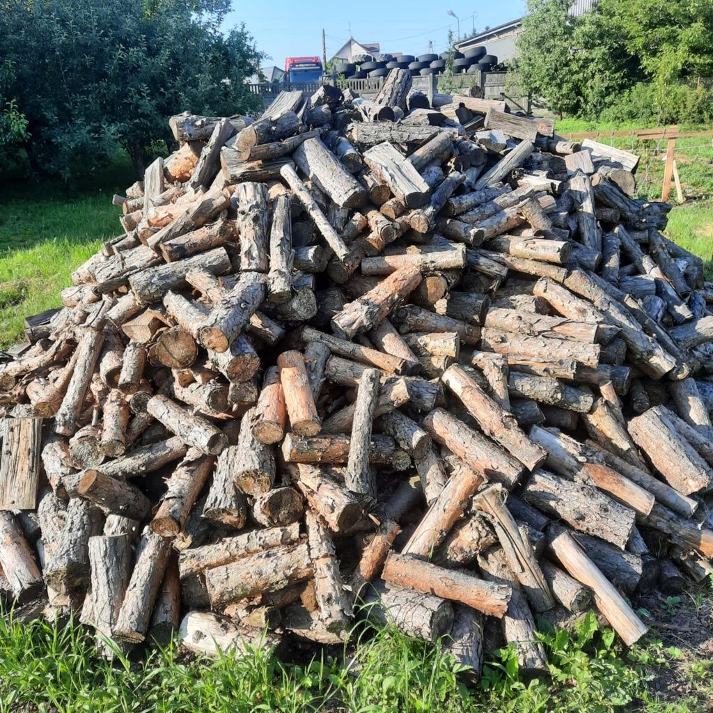 Drzewo Opałowe Suche