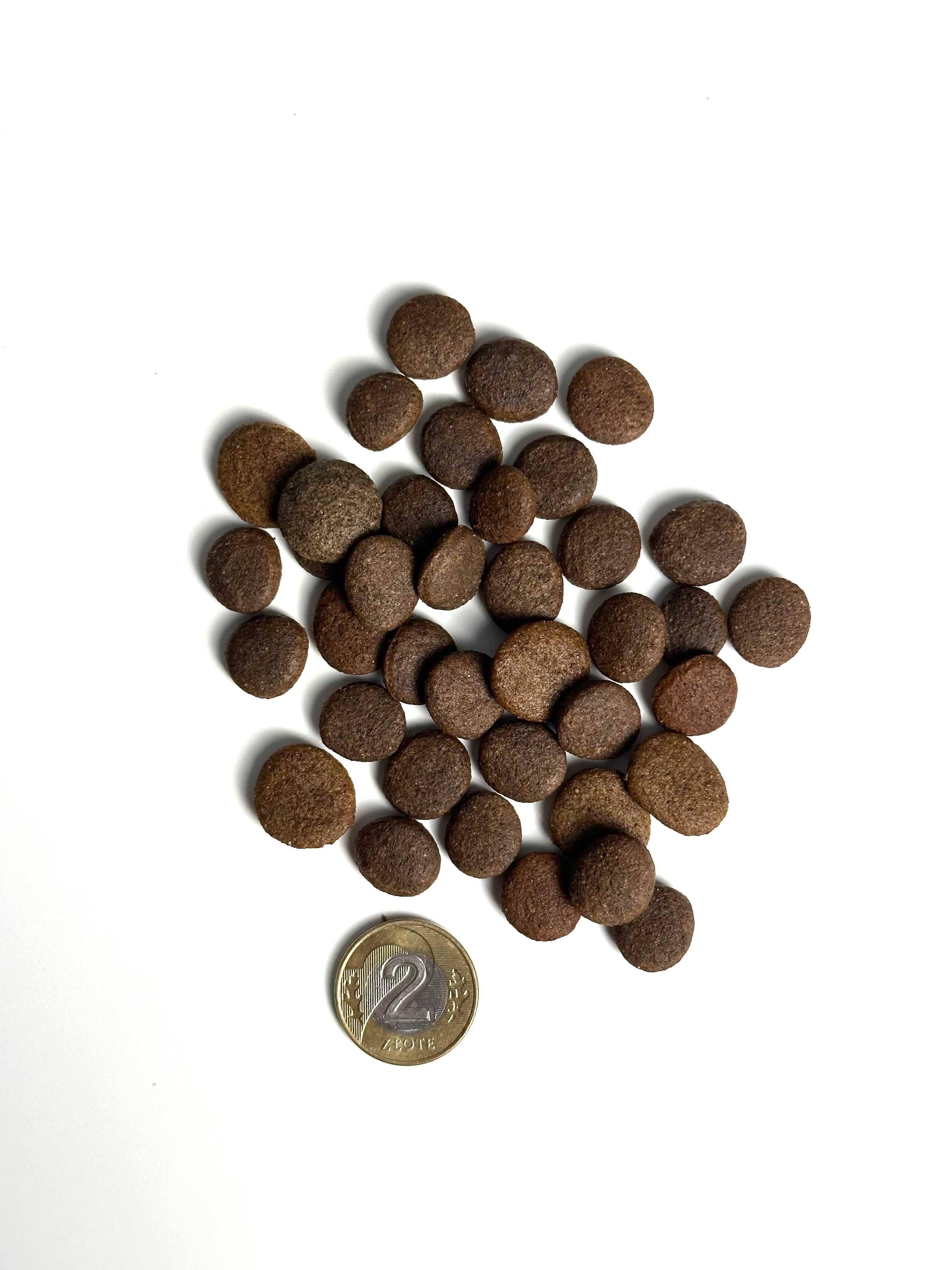 Syta micha Karma sucha dla psa Łosoś, pasternak i truskawka 1,5kg