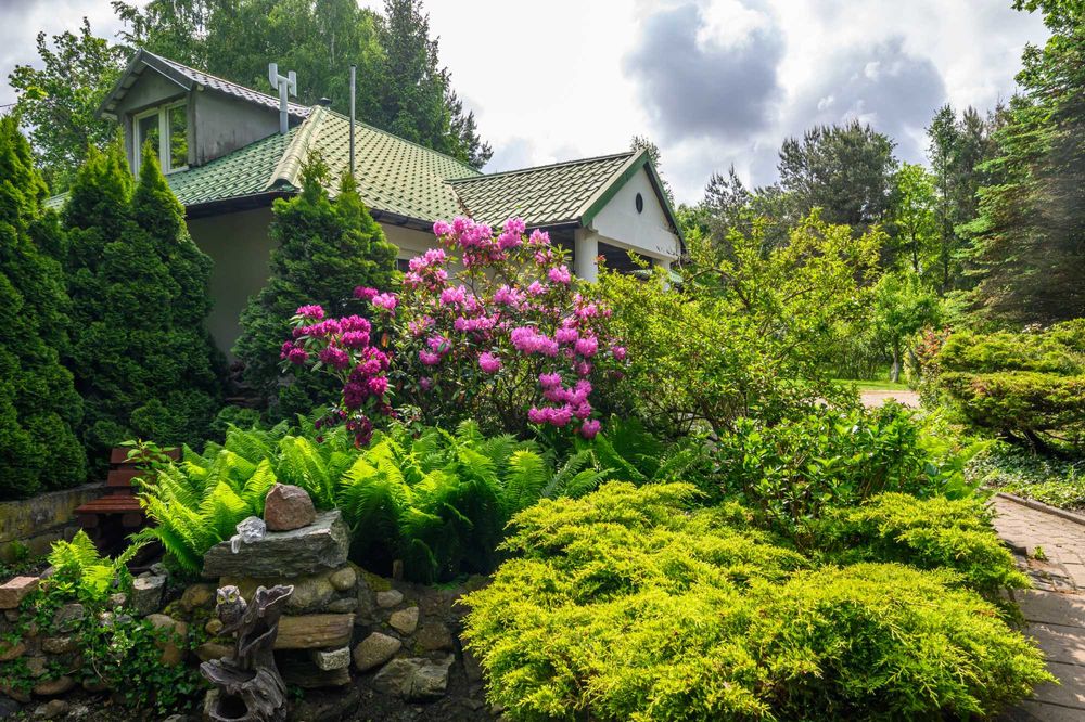 Święta, Nowy Rok nad morzem dla 10-13 osób-1000 zl /doba.