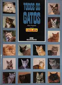 Amantes de gatos: "Todos os Gatos" de Gino Pugnetti