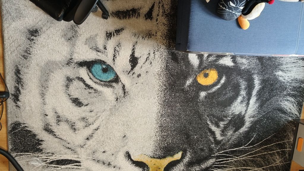 Obraz na płótnie biały tygrys 80x60 , dywan 2x3