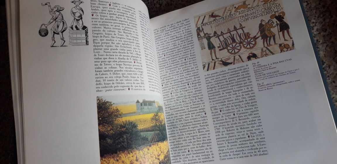 Conjunto de 3 Livros de Vinhos