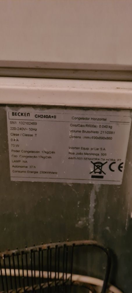 Arca congeladora
