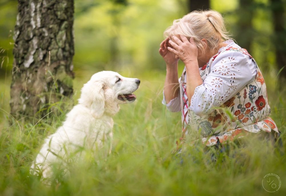 Polski owczarek podhalański