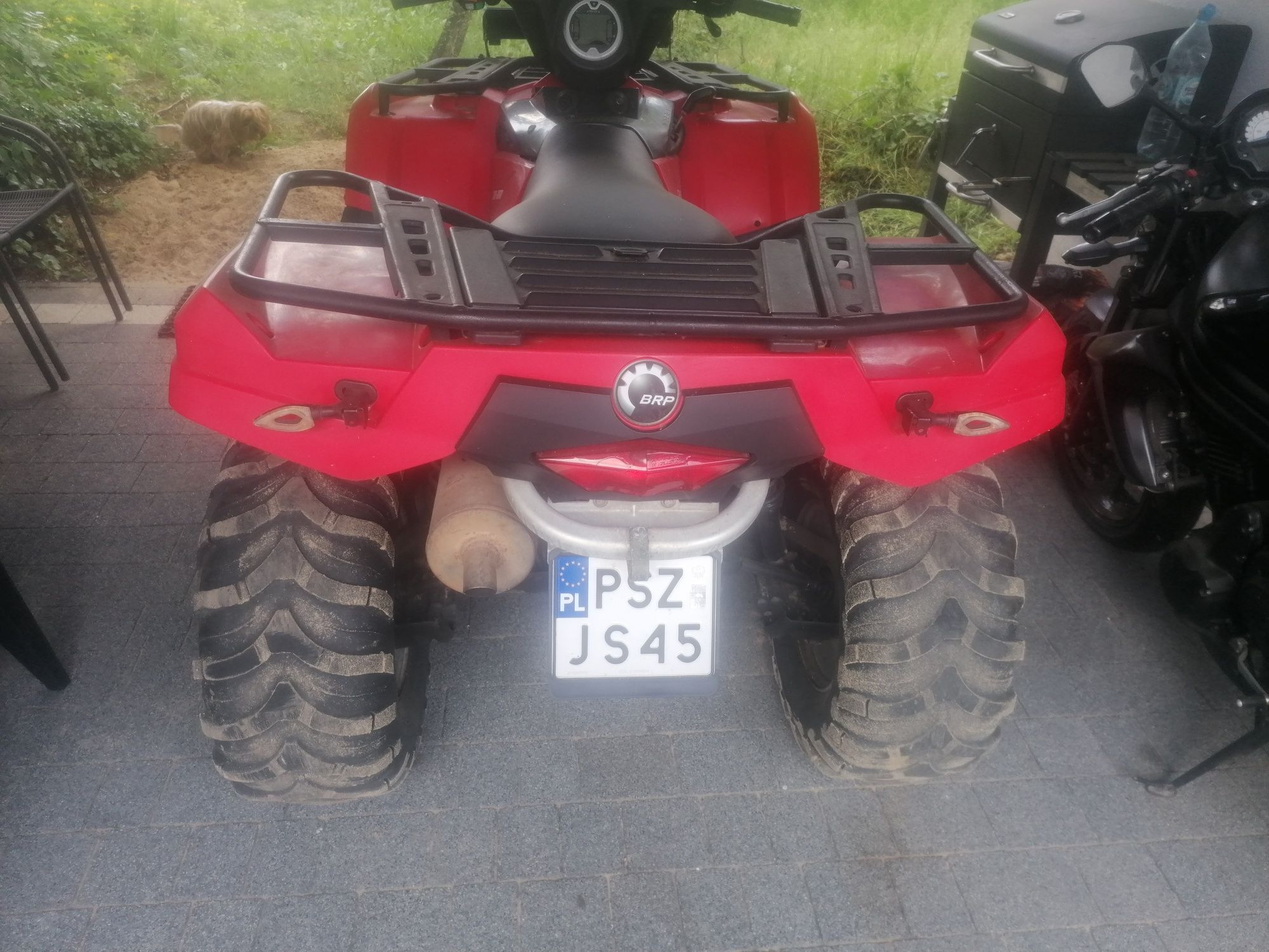 Can Am zarejestrowany