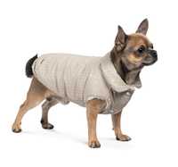 Зимняя одежда для собак, куртка для собак, petfashion