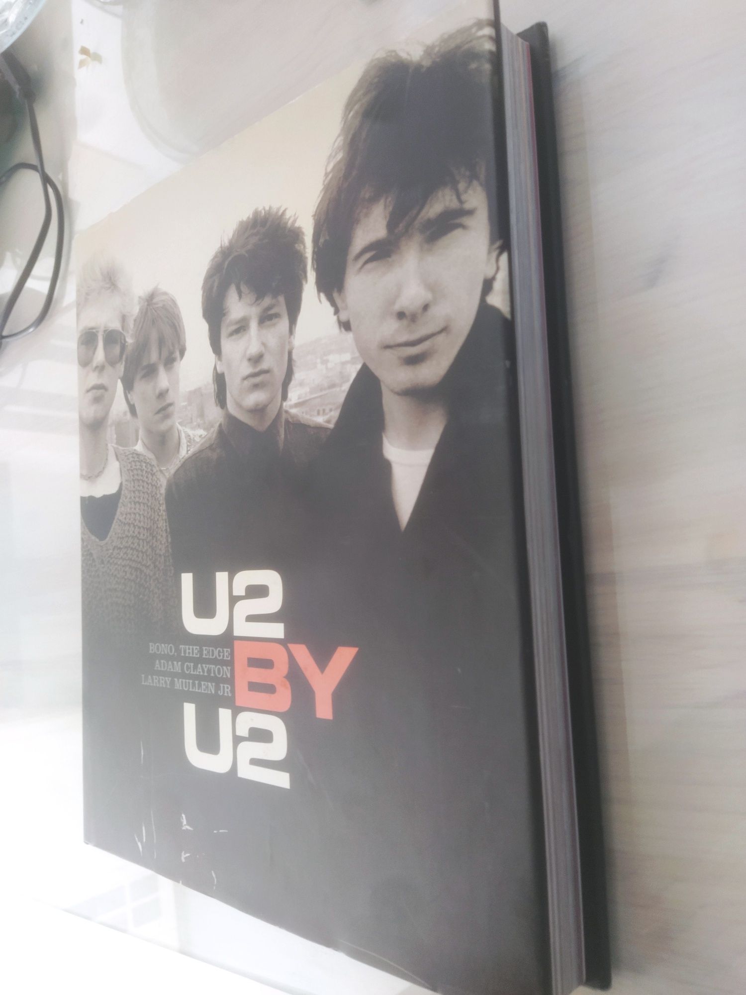 "U2 BY U2" Biografia