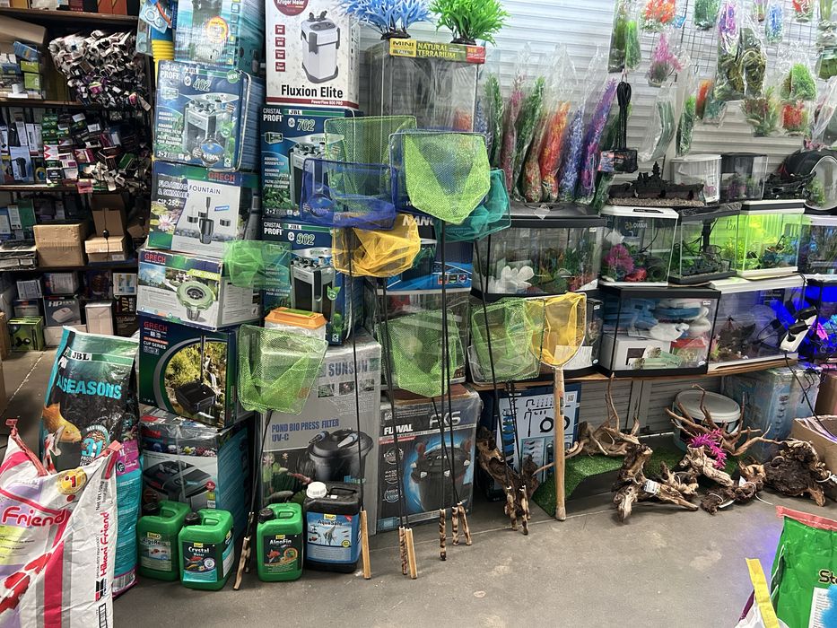 Акваріуми.           .