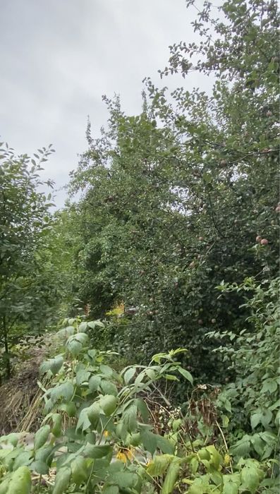 Ділянка 12,5 сот. м. Обухів, ж-м Лукавиця.