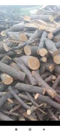 Drewno buk dąb brzoza