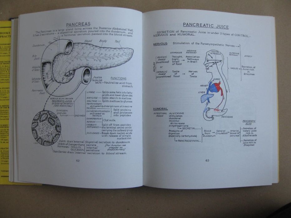 Ilustrated Physiology de McNaught and Callander