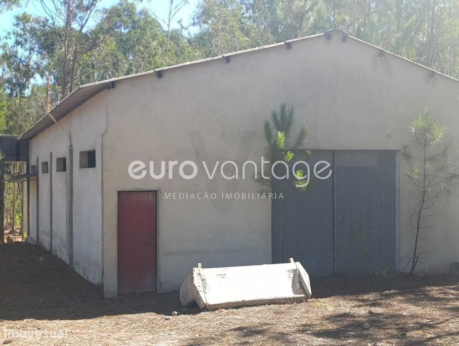 Pavilhão Amplo destinado a Agricultura