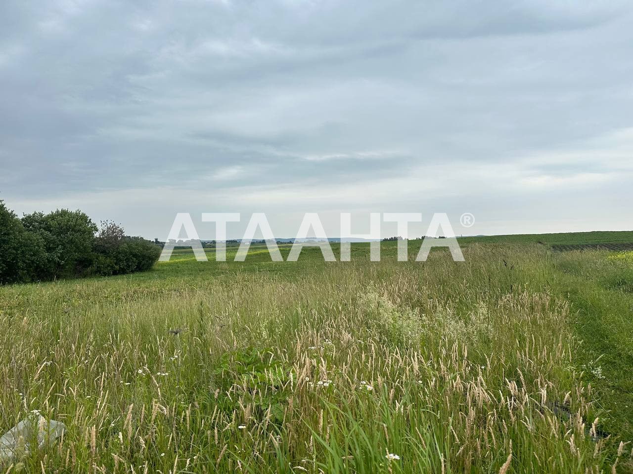 ТЕРМІНОВО! Продаж Ділянки. с . Чижиків, 12.94сот БЕЗ КОМІСІЇ