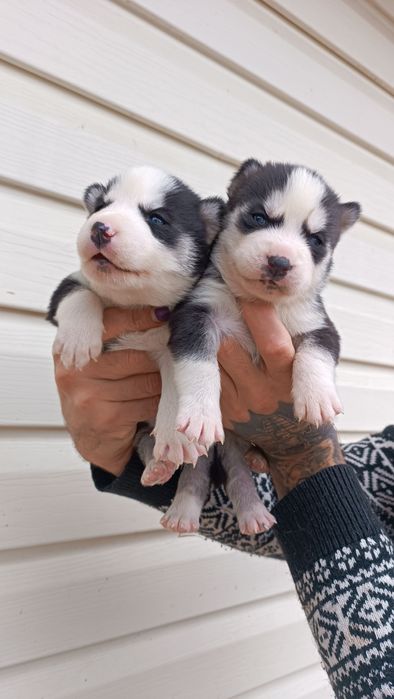 Хлопчик та дівчинка