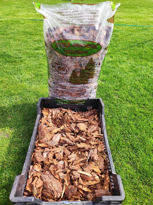 Kora sosnowa średnia niesortowana 60l