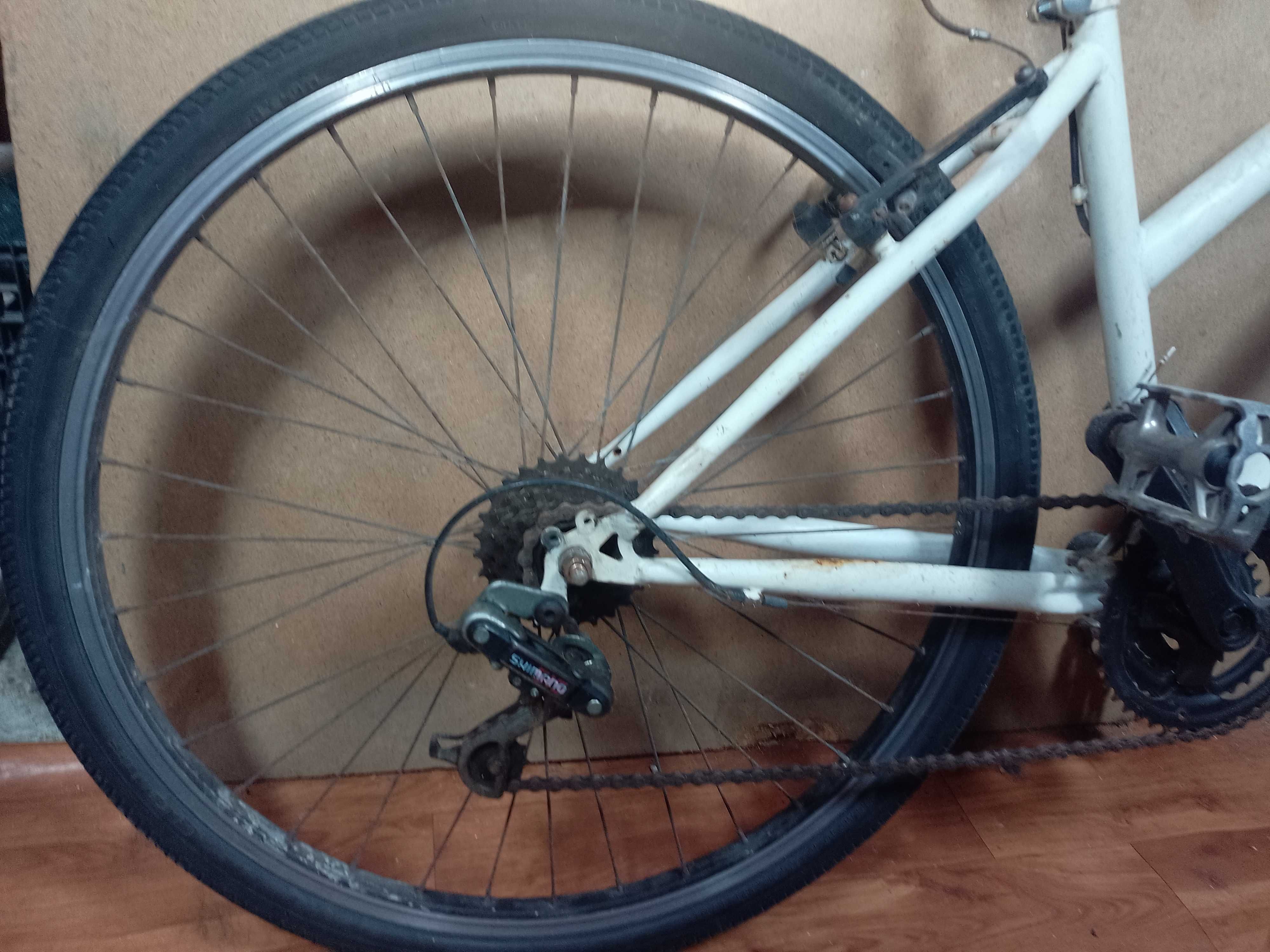 Bicicleta com quadro em ferro