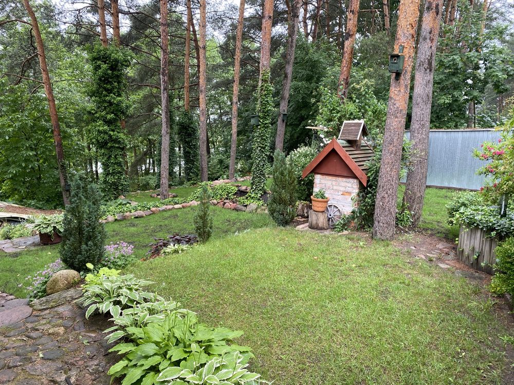 Wynajem domku letniskowego