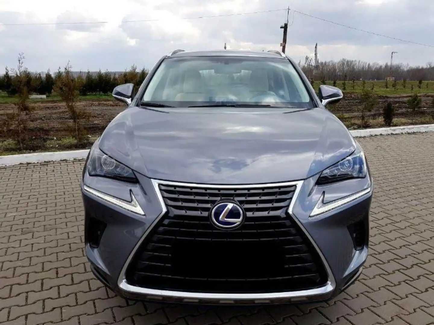 Lexus NX 2018 Gray