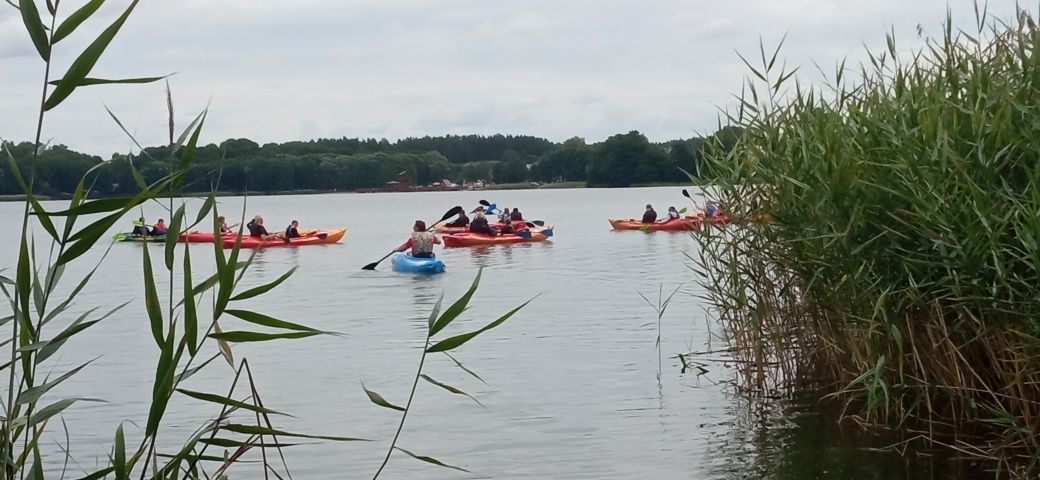 Kajaki Rybno spływ rzeką Wel. Kajaki Dąbrówno