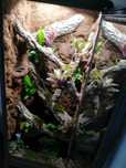 Wyjątkowe terrarium z witryny Fabrikör IKEA