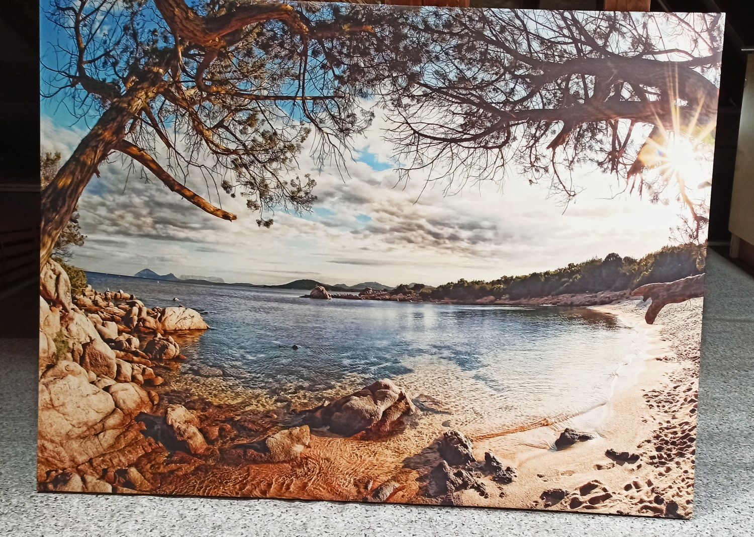 Obraz natura widok