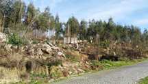 Venda Terreno, Frente Estrada, Penha Longa, Marco de Canaveses
