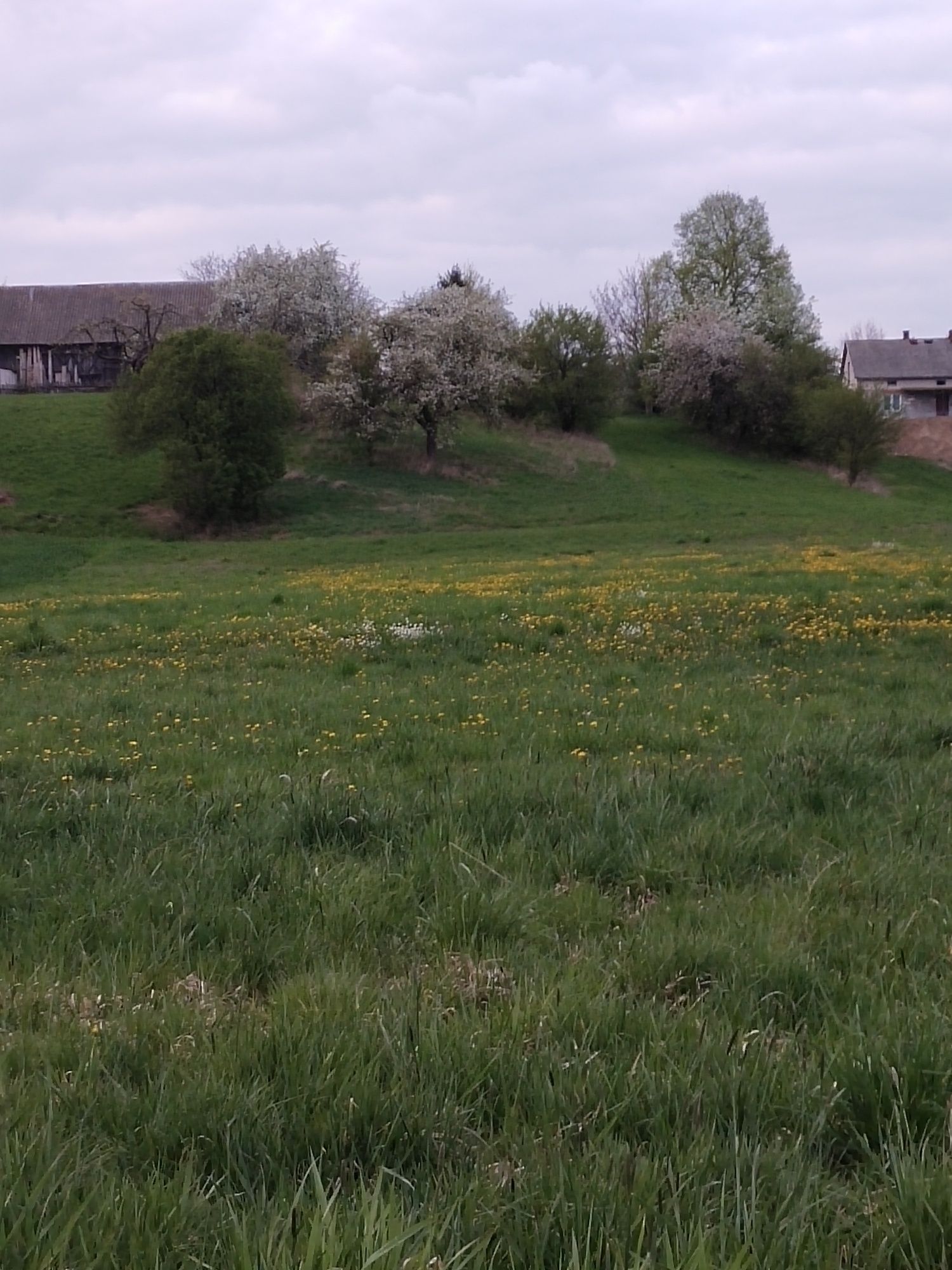 Działka/Siedlisko zabudowane