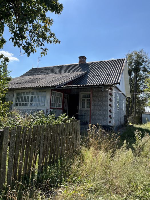 Будинок у селі Цвітоха,заг.площа (25 сотих)