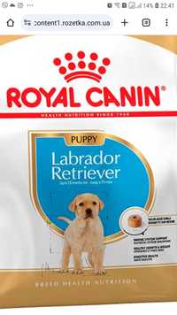 Сухий корм ROYAL CANIN PUPPY Labrador Retriever 3 кг для щенят лабрадо