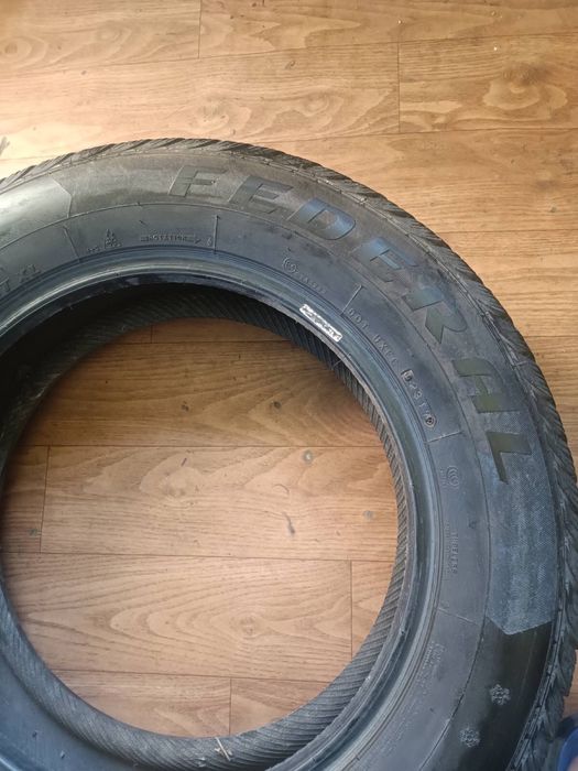 Шины Federal Hamalya WS2