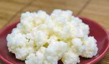 grzybek tybetański ziarna kefirowe 20g super kefir