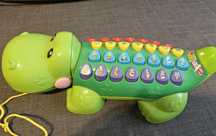 Aligator Edukator
