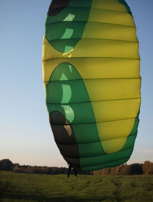 Latawiec kite Peter Lynn Hornet II 5.0