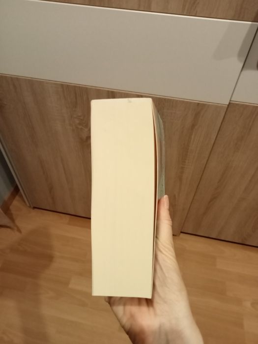 "Moje lato w Tenby" T. Rees, powieść