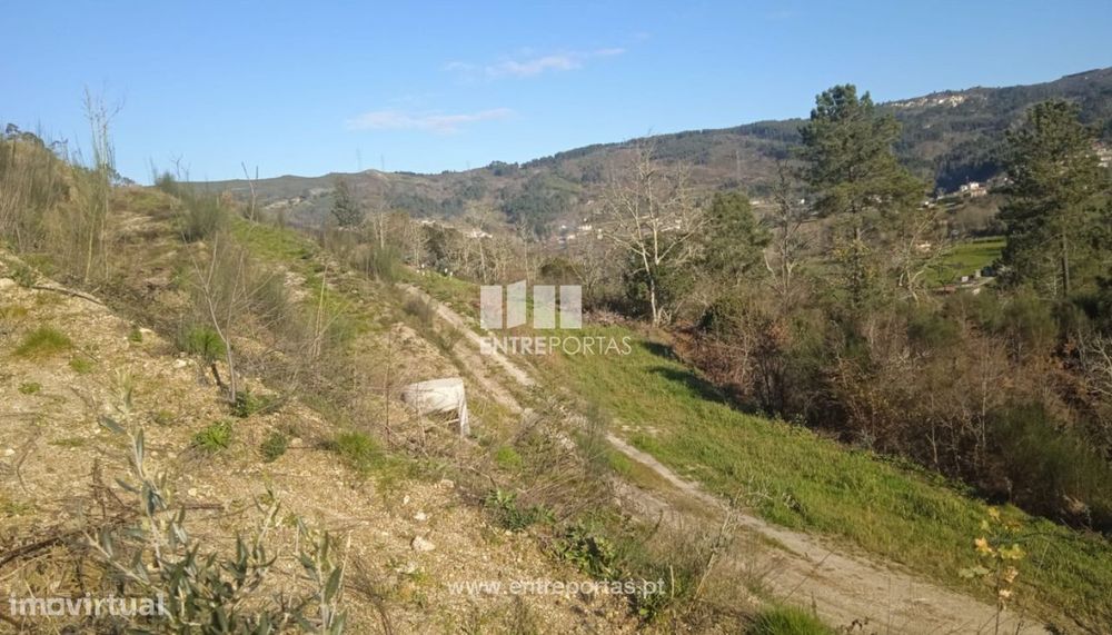 Venda Terreno 3000m2, Gôve, Baião