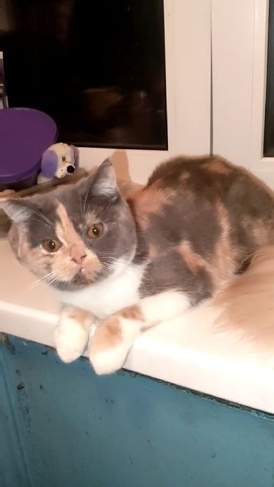 Яркая сочная карамелька. Девочка.